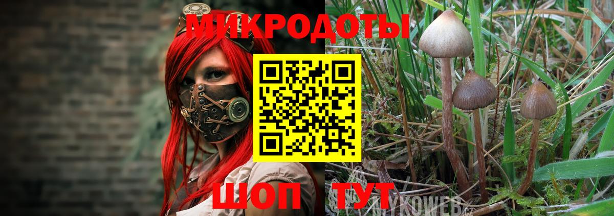 Галлюциногенные грибы ЛСД Александров