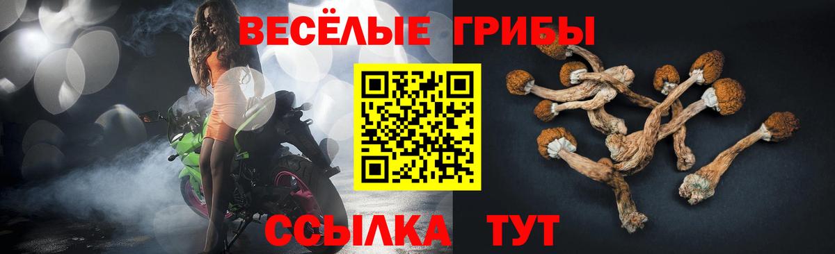 Галлюциногенные грибы Magic Shrooms  Вход с VPN  Александров  Псилоцибиновые грибы Psilocybine cubensis 
